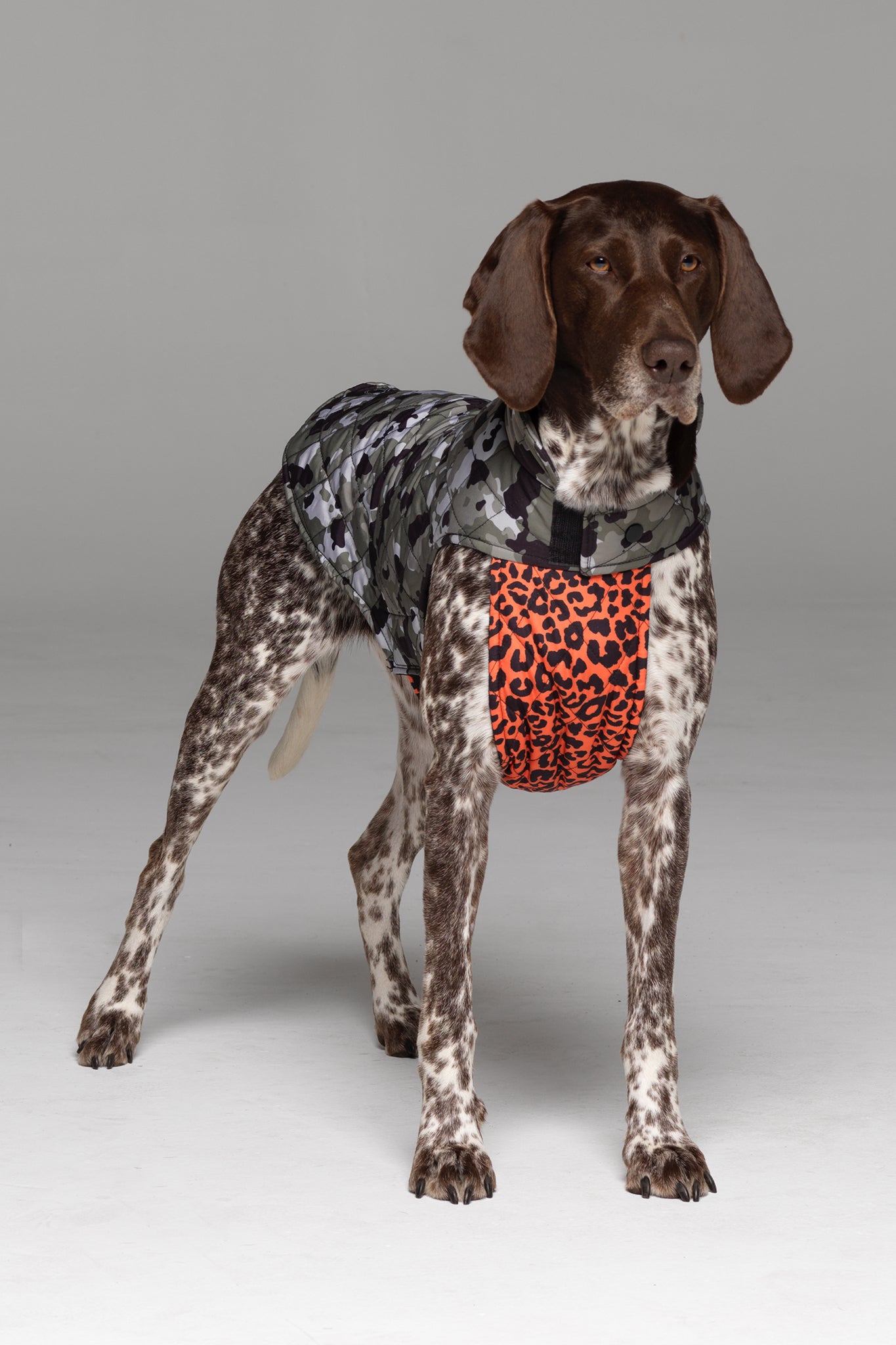 Foxtrot Dog Jacket in Camo Print, with vibrant orange animal print bodice.