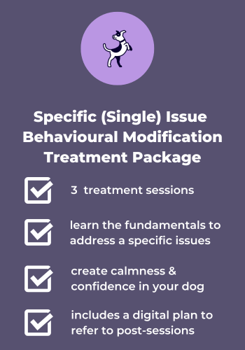 Specific (Single) Issue Behavioural Modification Treatment Package
