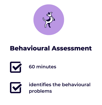Behavioural Assessment (Online)