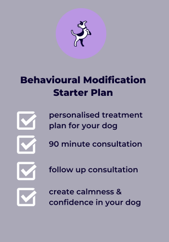 Behavioural Modification Starter Plan