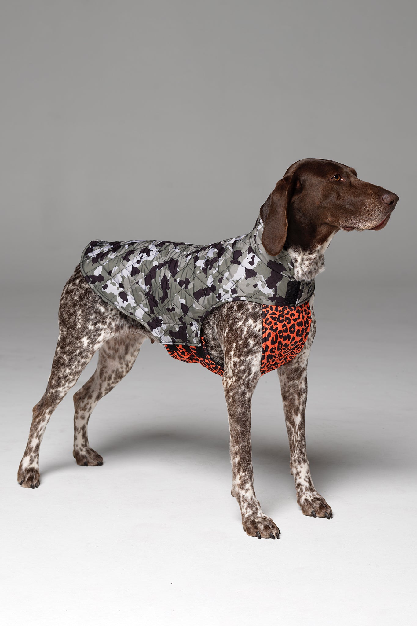 Side profile of Foxtrot Dog Jacket, showing camo print body, and vibrant orange animal print bodice that covers chest and stomach.