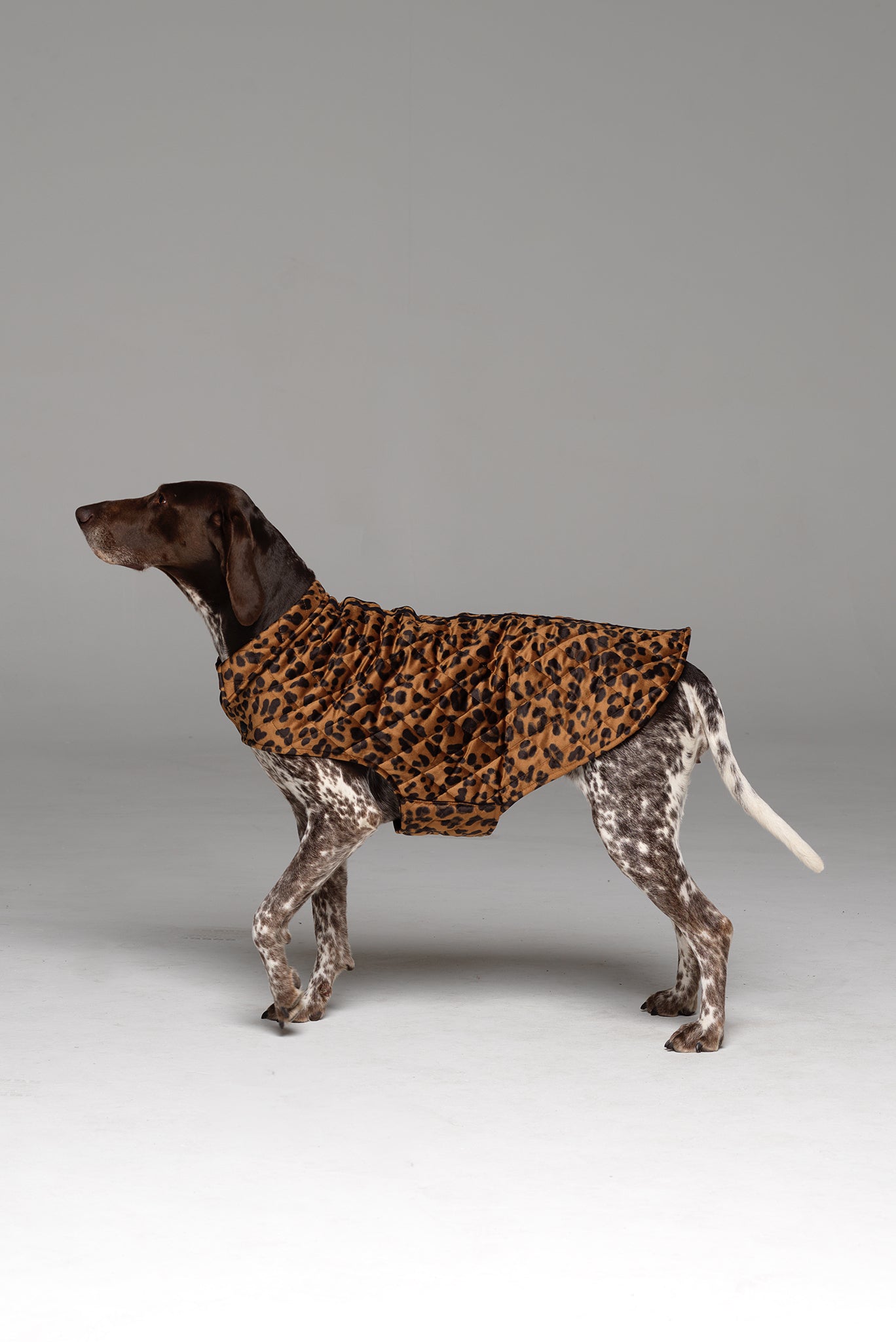 Side profile shot of the Furbaby Dog Coat in Bronzed Baby showing neck collar detail.