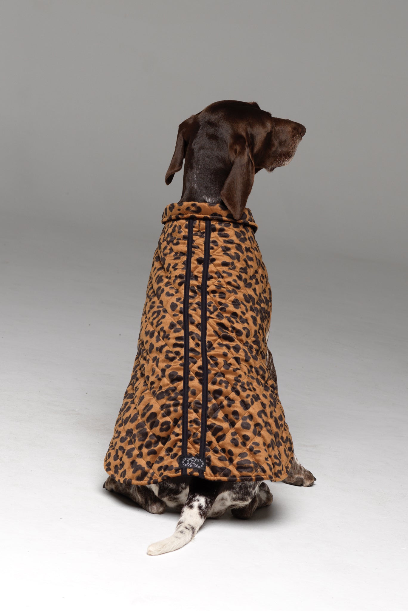 Dog sales print coat