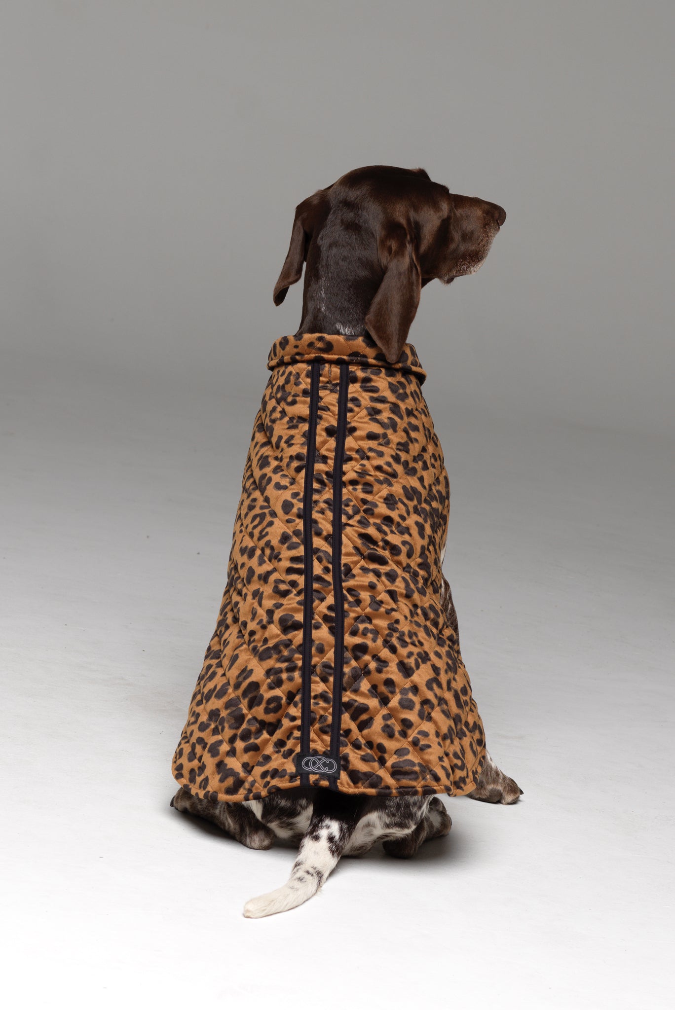 Furbaby Dog Coat in Bronzed Baby showing the 2-stripe sporty design across the dog's back.